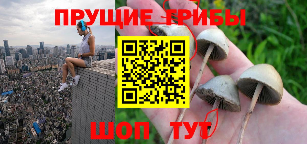 Новоуральск  Галлюциногенные грибы мицелий  Вход с VPN 